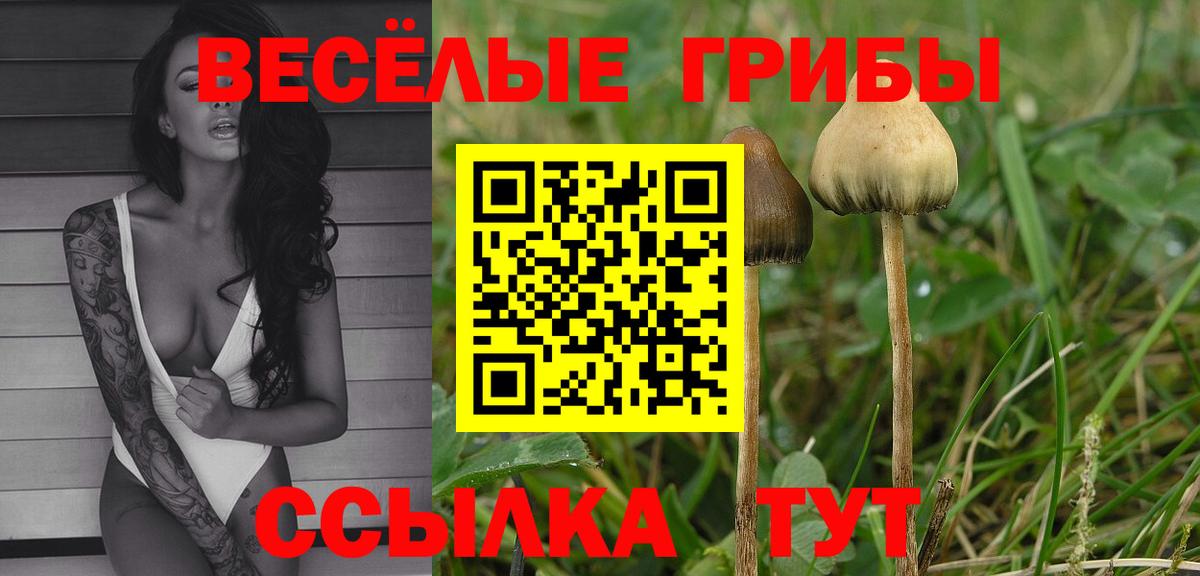 Гусиноозёрск  Псилоцибиновые грибы ЛСД  Псилоцибиновые грибы мухоморы  Вход с VPN 